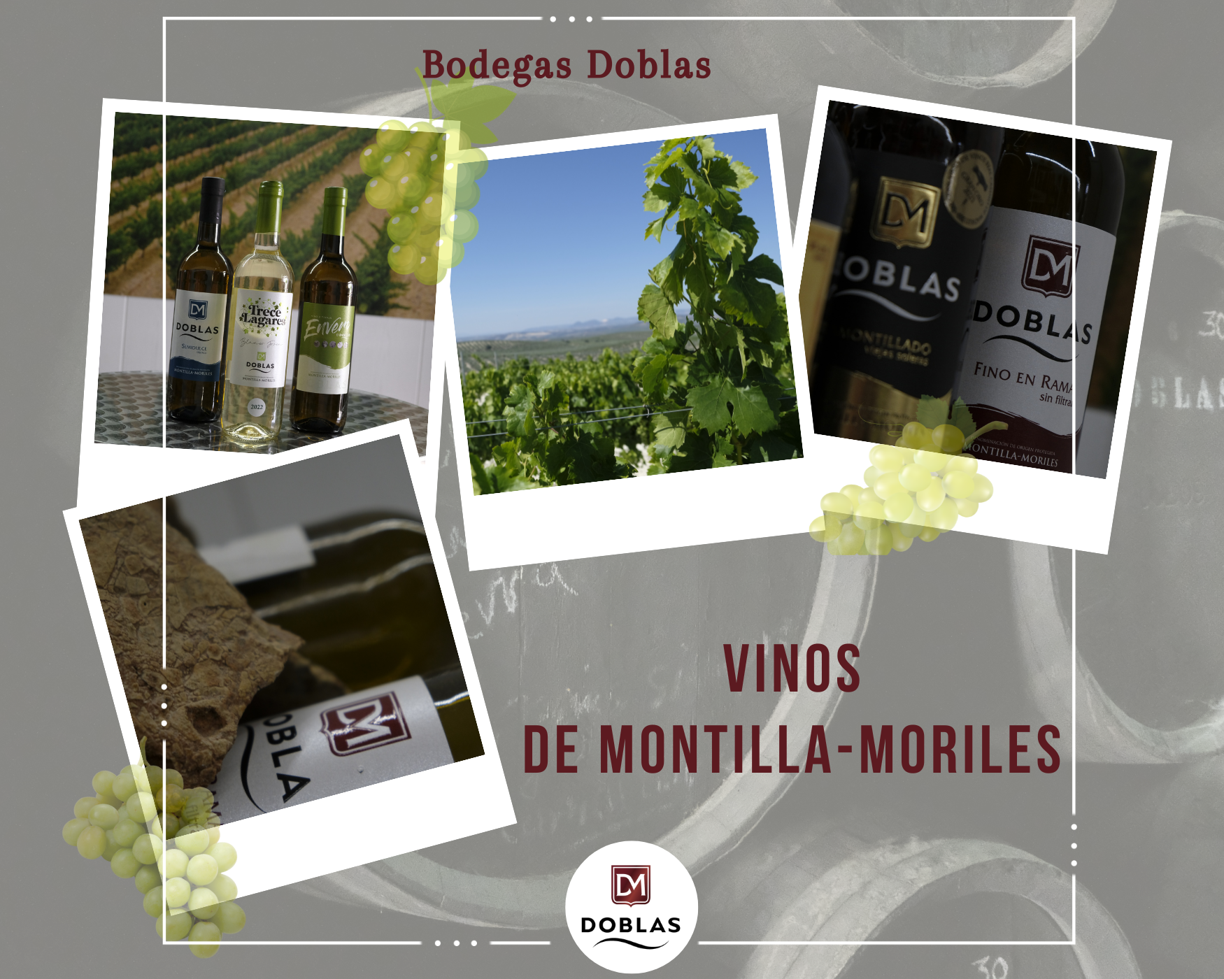 Vinos Montilla-Moriles - Bodegas Doblas